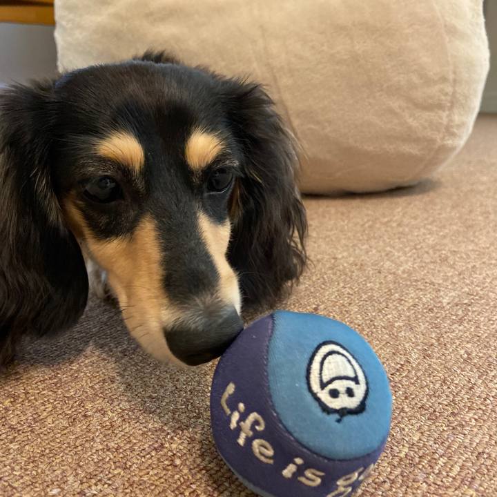 D3711186 07f3 420d b168 02b87aa6b5c9 1686620860752