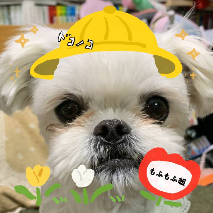 D3713bf6 de54 430c 9a18 c494228b84c8 1712530016608