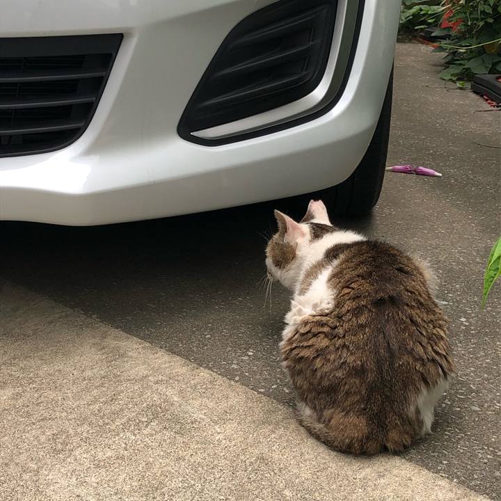 D3713dca 48c0 4f3a bfc9 97d0014cf497 1563106147291