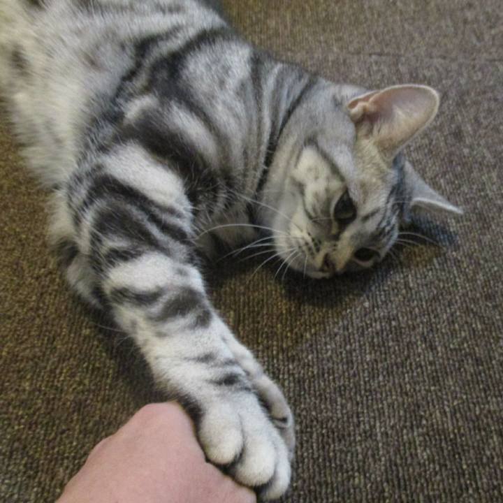 D37187a5 218b 481f 9ab1 1228af112e87 1568462865586