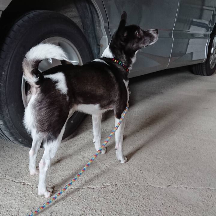 D371a5f5 3da6 464a 883c 18c2f9a71724 1562113001795