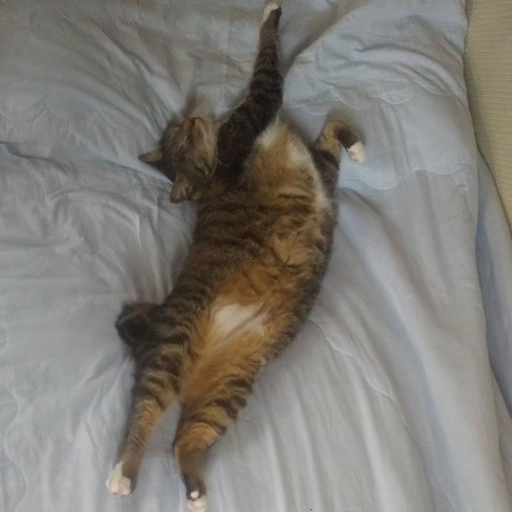 D371c422 5602 4d6c 94d1 140a698a92b4 1752721670398