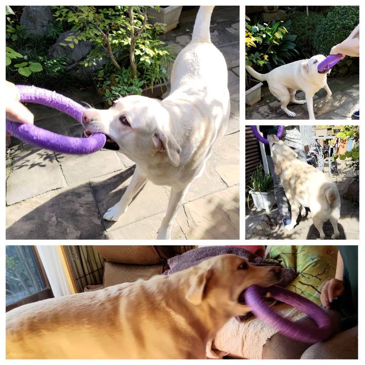 D371c483 2ea6 49f9 9cc5 aaa226710962 1698150947932