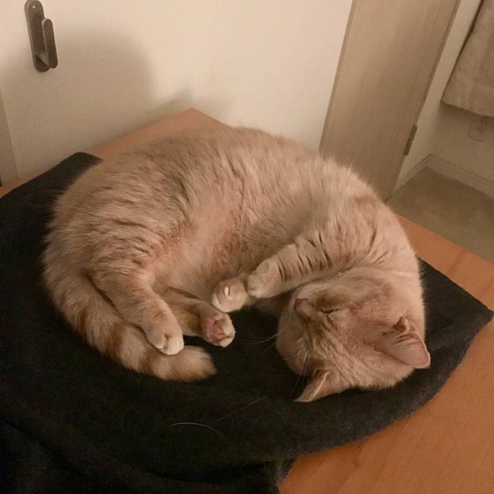 D371ca52 f518 4383 a375 8f7d472b765d 1549861521938