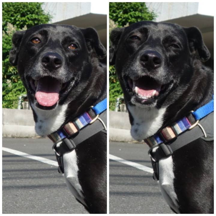 D372368c 50c5 41e8 97d1 49b1d57bfce4 1653784756325