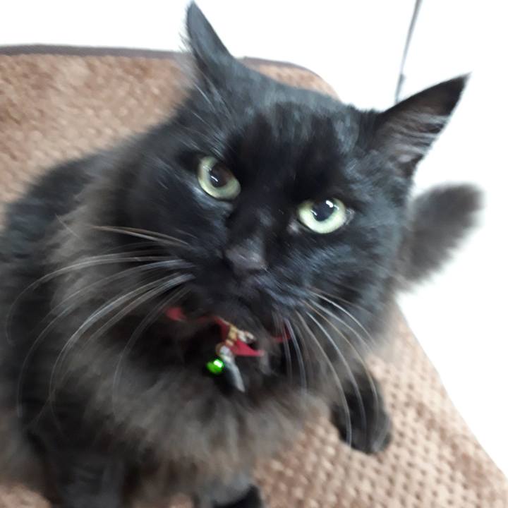 D3723d72 d9e6 481f a1a9 92cfe7704409 1521495966722