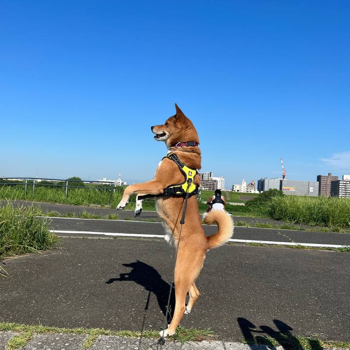 D3726a2c 4a2e 42e7 8669 468fb0bf09af 1686956629131