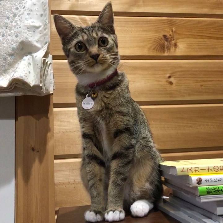 D37288c2 33da 414f 84a7 e03613a2a285 1566394557334