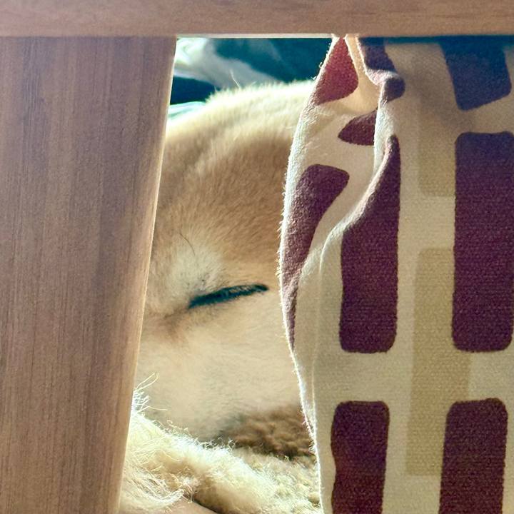 D37293a7 d6b8 4126 871c 20c55e7be6d9 1763431765852