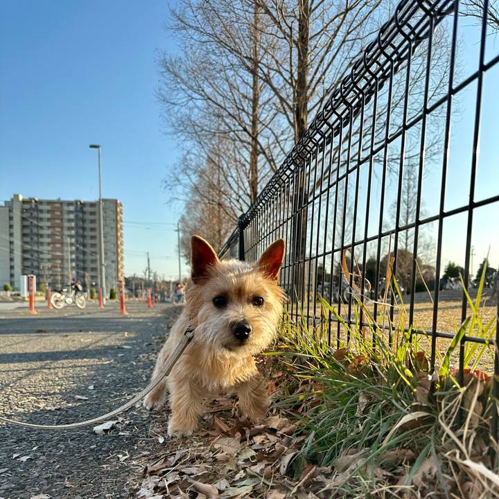 D3729d1b 638e 4684 8e7a cbdb54e81f84 1710451076056