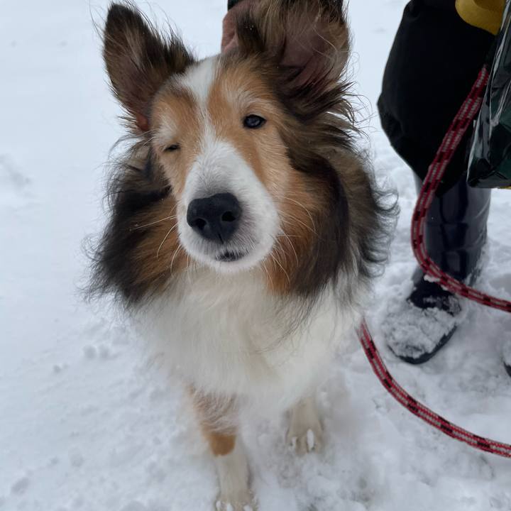 D372ac5c 0974 4796 83c6 ee959d2f51d3 1647657806329