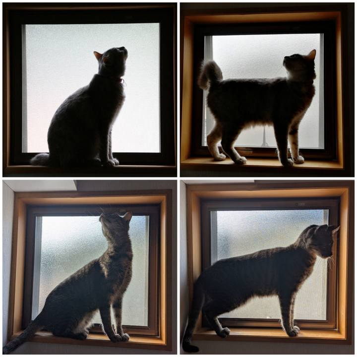 D37318cb c465 4cad b2c4 31e590082cc1 1763451502157