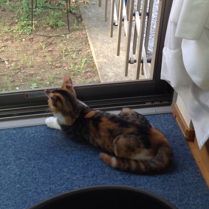 D373216a c320 43b6 b3ca 55c9ae4b7956 1628285375881