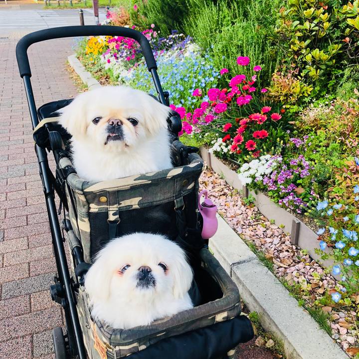 D37342a2 1ca2 45e4 9908 0ee02546fb0f 1588116823213