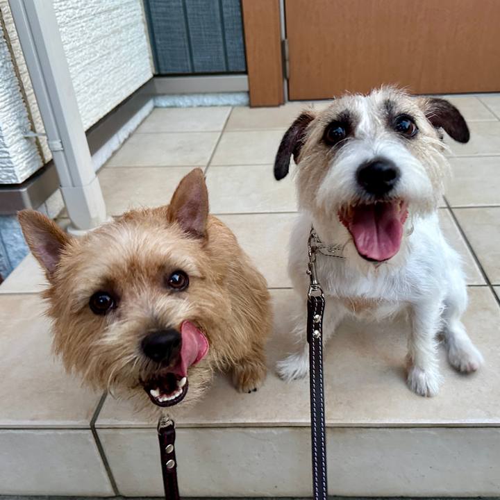 D373452c 8cd8 4687 b0d9 8e718594bf34 1752498677682