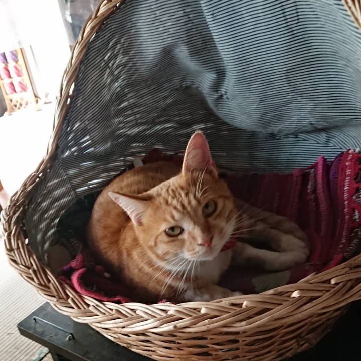 D373716e 4cb9 4b19 bf5d 055cdb463b91 1570239828364