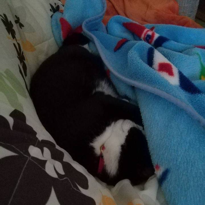 D373a22a 82e3 4108 bcc1 16191178f999 1577002225339