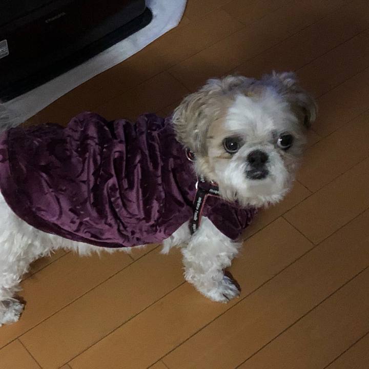 D373bb41 f653 4b96 b8ba 40d05e38fde8 1587764558697