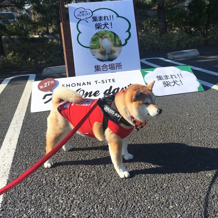 D373cbd8 dda1 4aea 9370 66ff48410f68 1575195258392