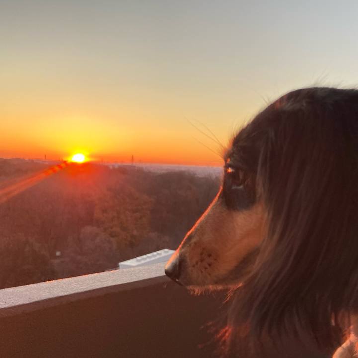 D373cf43 16bb 4f72 a7be 058133d35a22 1735682220404