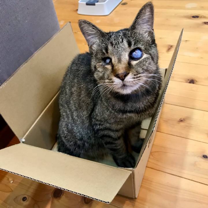 D373e96d 17ca 4740 8100 736d5adad55c 1624022554435