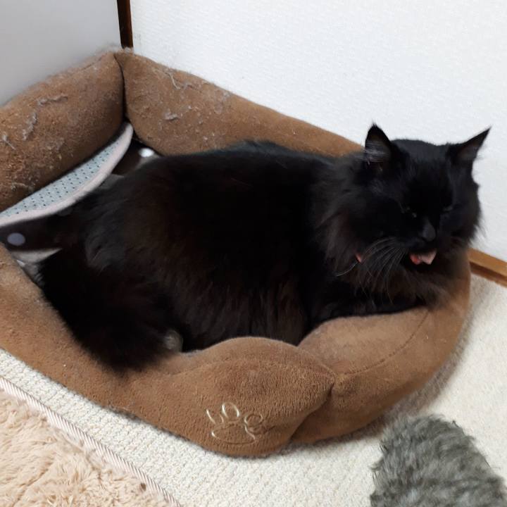 D373f6eb 509f 4a07 b57f a2cff5c7022d 1521145652909