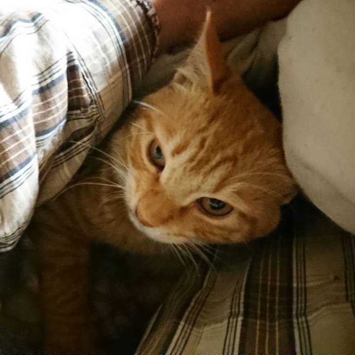 D3742bd0 fe15 4ba2 9af2 fdad99b6b1d2 1637526924441