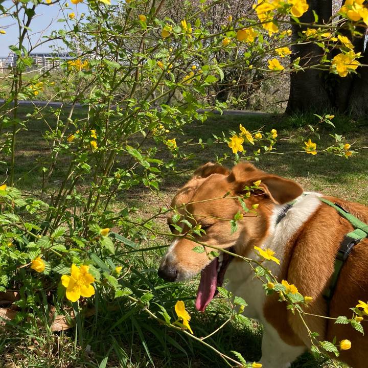 D3745725 04a7 467d 86c8 5cfea653a2c0 1713400020751