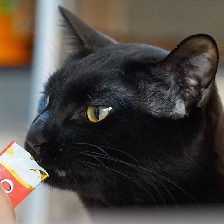 D374bd57 3336 421a 95bd a9a620810d5c 1553437007045