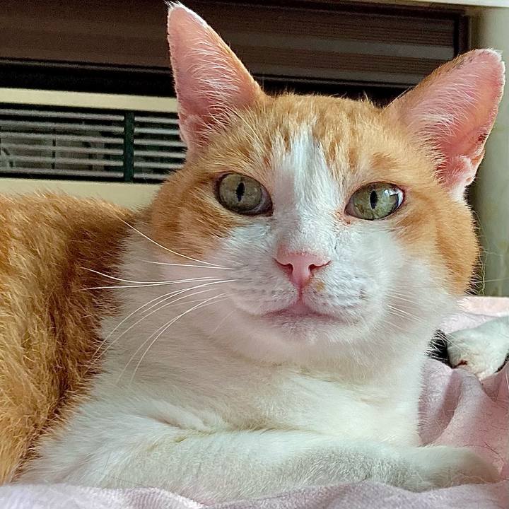 D374d819 aeab 4e6b a7fb 15d938b9430c 1768559707534