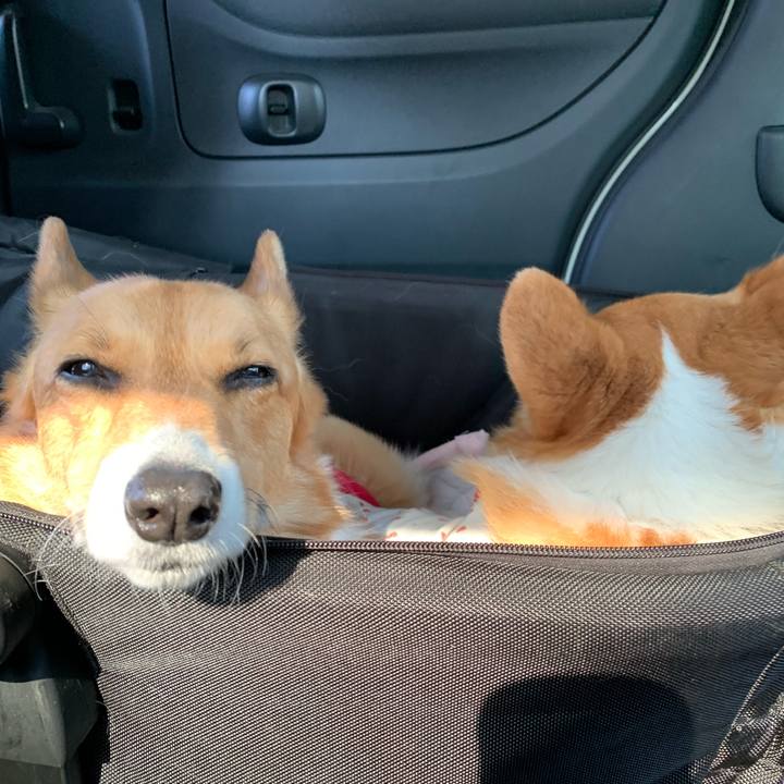 D374fd11 e1f2 4d30 9e14 74fad924e715 1588116108980