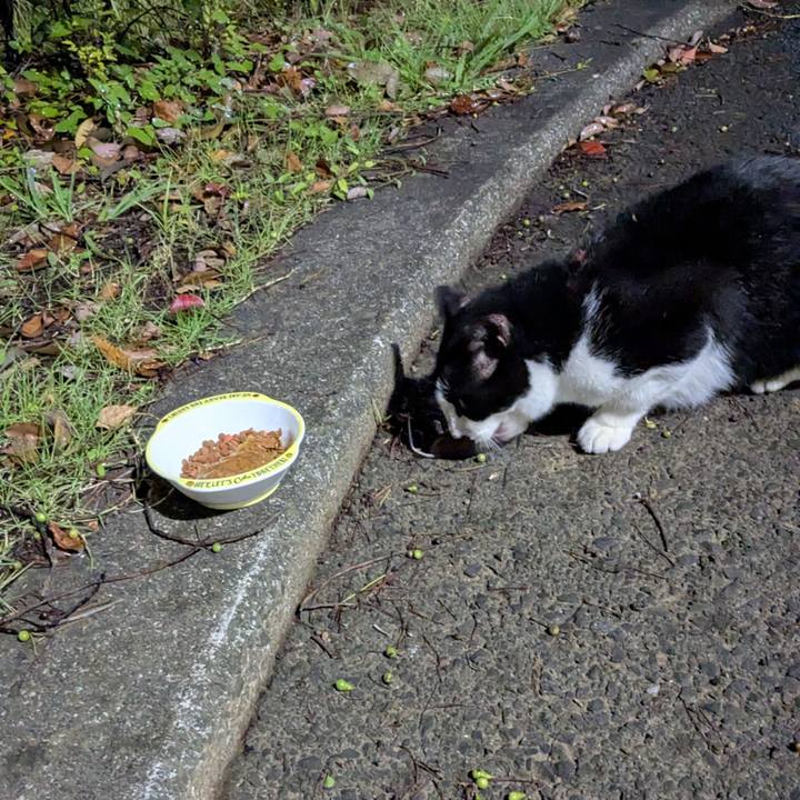 D37503a9 4b2f 42c8 a6cd 1be8ebdb615a 1755010359979