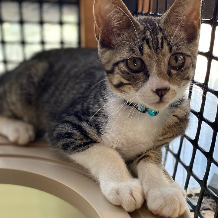 D3753779 0739 4efa a653 4fa6e7c039b6 1628945461496