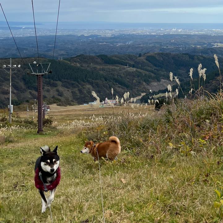 D37587a0 ab6f 4b0b 800f 515895b9de8e 1636905195000