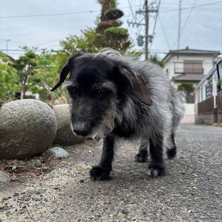 D375d785 64b5 4171 85d9 f61f4a7be417 1748300447977