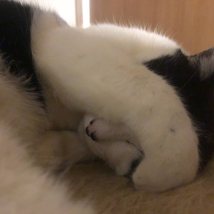 D3761a15 4779 40fb 8575 8da7311c965f 1552046942684