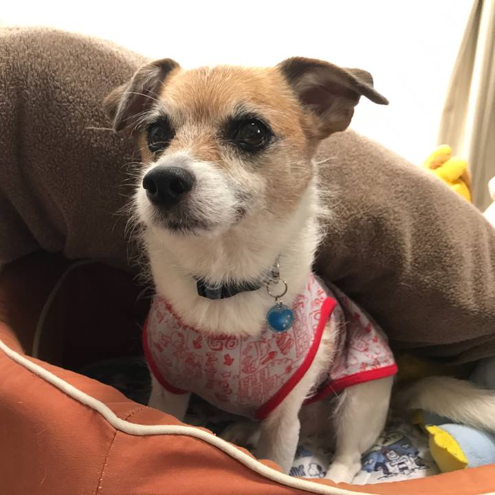 D3763b7e 846f 4d59 87d6 757df353215c 1595135721358