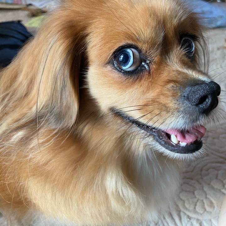 D3764b25 d5cc 4bad bb5f 815c097536ef 1598305727124