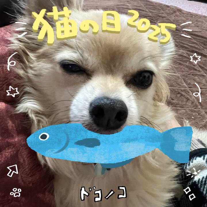 D3765c7d 5517 4f0d b9aa b96c3822b563 1740214906982