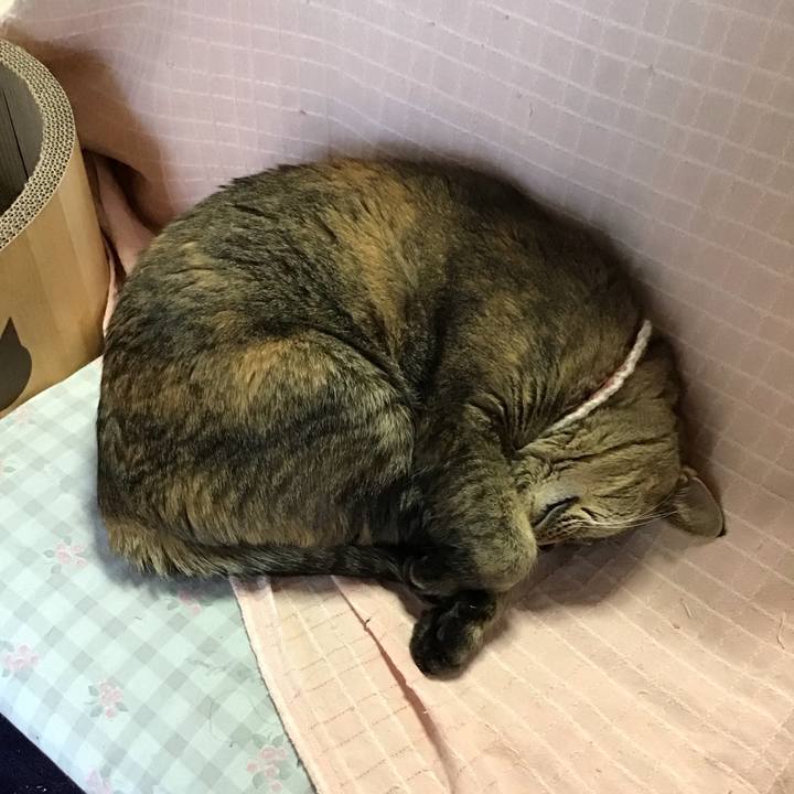 D3766889 243b 484d 9737 7779ac7c1e36 1710488159948