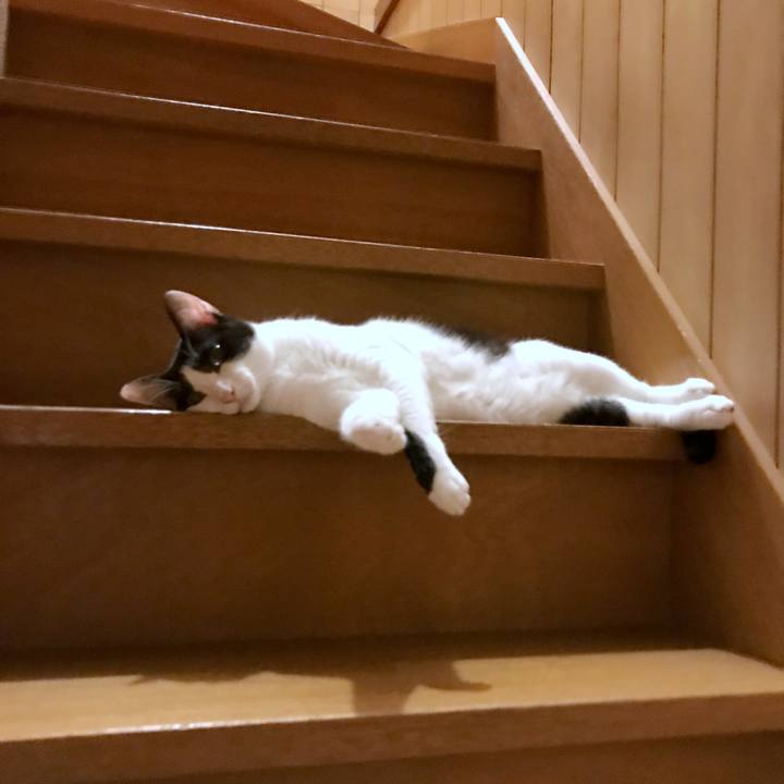 D3766bc5 5895 4fd7 9920 8e6672271e90 1535112127257