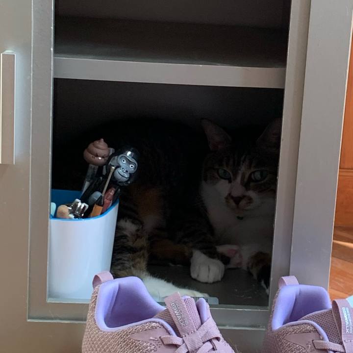 D3767d59 a140 4763 947d f1d2d3194db5 1630219311229