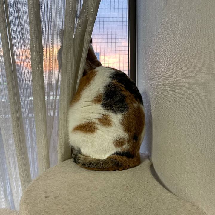 D376996f ac43 4088 95b7 5a3aed8b6cfb 1610894603947