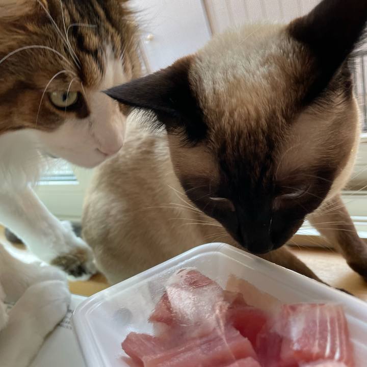 D376d50e 0494 4521 963d 66ab300139d1 1719651101350