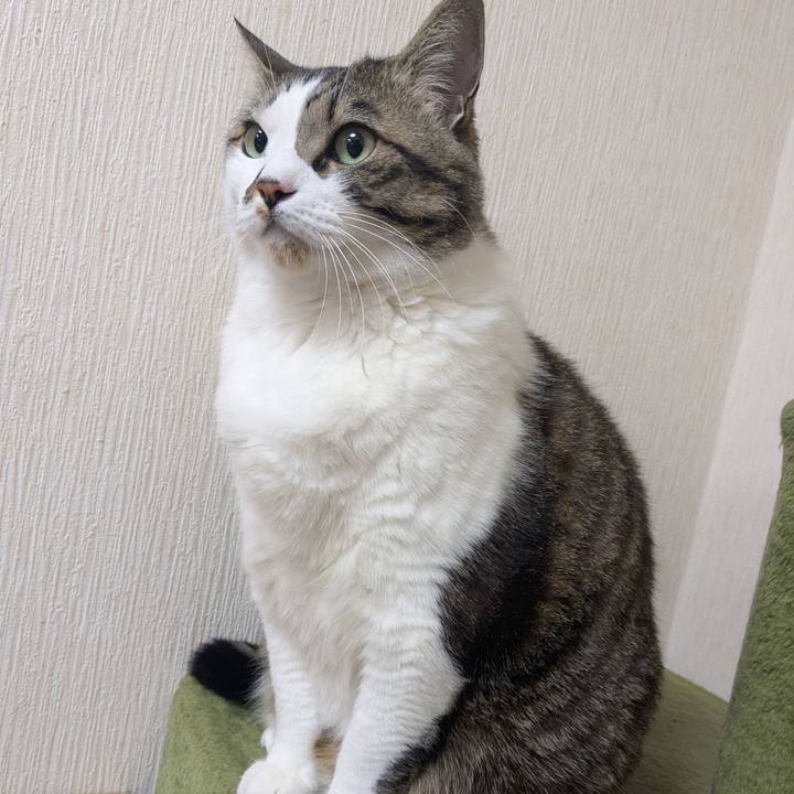 D376dd33 c180 4404 8bf6 5e103b1f8888 1774191135603