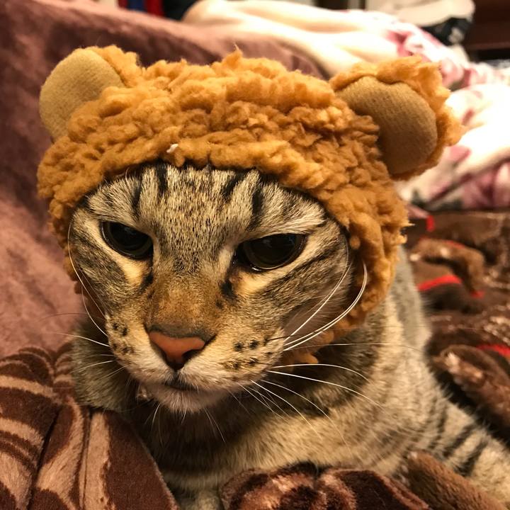 D376f2c8 6d0b 4045 ae44 d00e2b7494b0 1514995579158