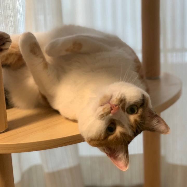 D377372d 8f67 49ba 9c7a 27ab08805479 1653227063010