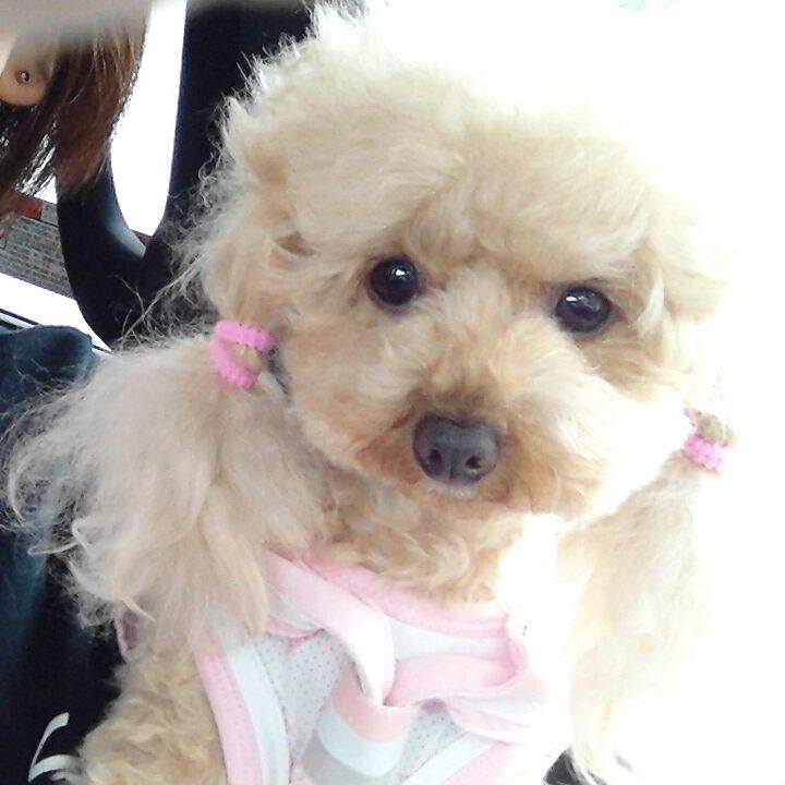 D3778057 e18e 4c16 84d9 a9caf79ae853 1531049526612