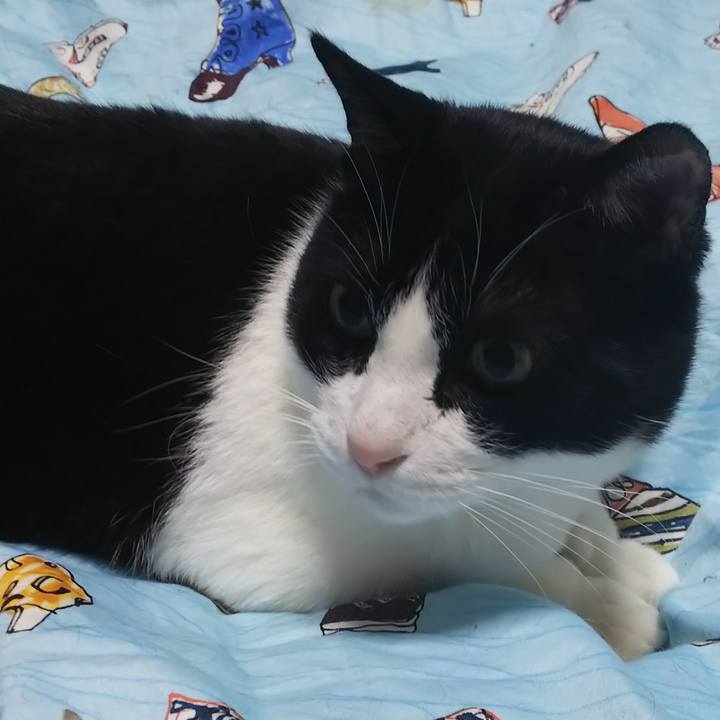 D377896e d377 45ff ac19 b62f5ca61648 1585481575626