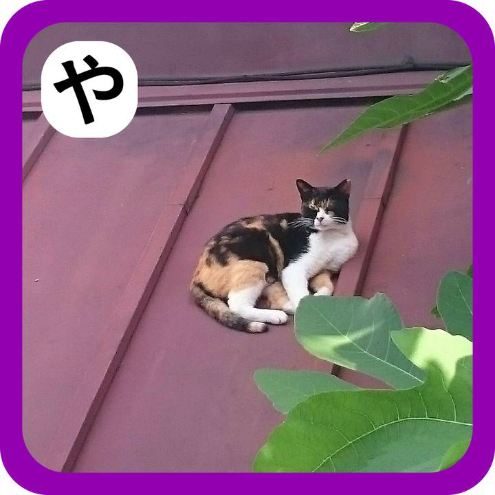 D3779217 5836 4646 ab19 01d799709362 1514853894057